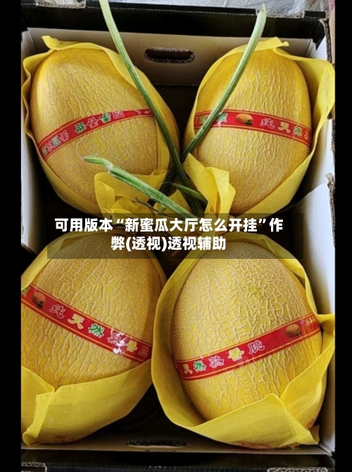 可用版本“新蜜瓜大厅怎么开挂	”作弊(透视)透视辅助-第2张图片