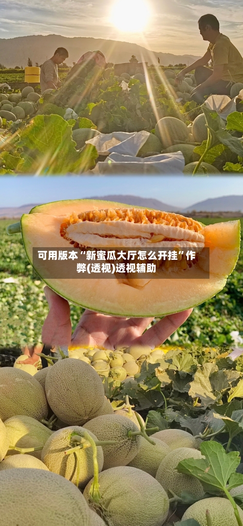 可用版本“新蜜瓜大厅怎么开挂”作弊(透视)透视辅助-第1张图片