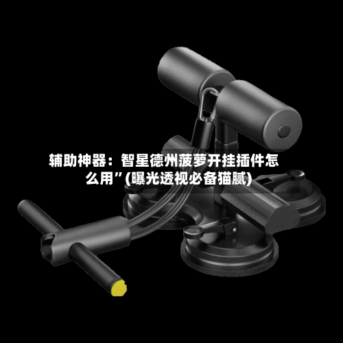 辅助神器：智星德州菠萝开挂插件怎么用”(曝光透视必备猫腻)-第1张图片