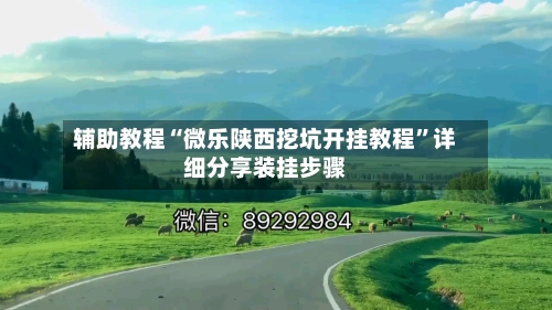 辅助教程“微乐陕西挖坑开挂教程”详细分享装挂步骤-第2张图片