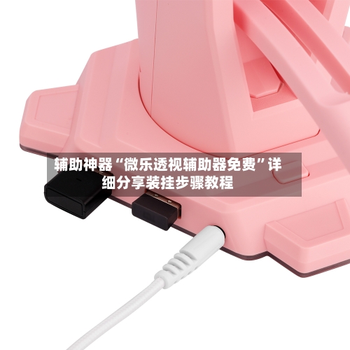 辅助神器“微乐透视辅助器免费”详细分享装挂步骤教程-第2张图片