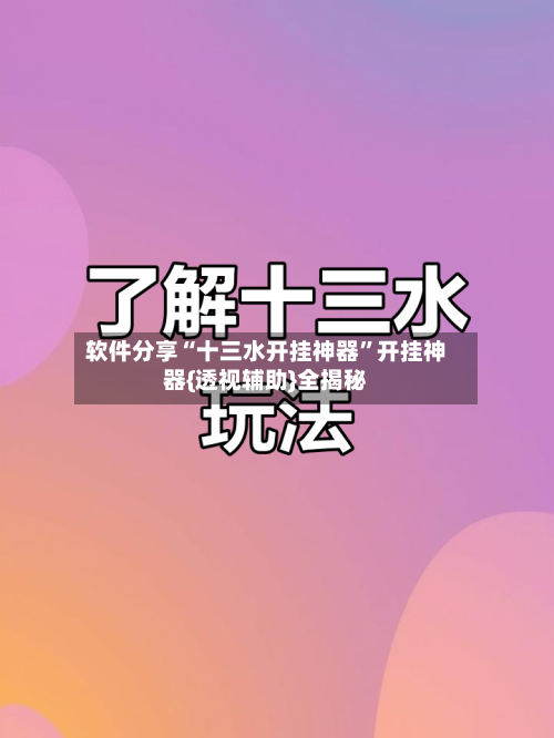 软件分享“十三水开挂神器”开挂神器{透视辅助}全揭秘-第3张图片
