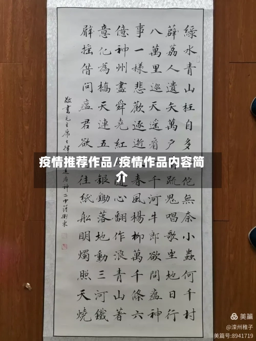 疫情推荐作品/疫情作品内容简介-第1张图片