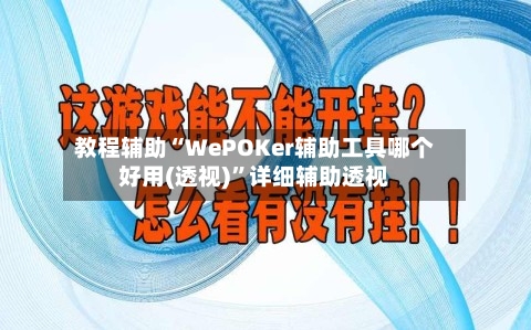 教程辅助“WePOKer辅助工具哪个好用(透视)”详细辅助透视-第2张图片