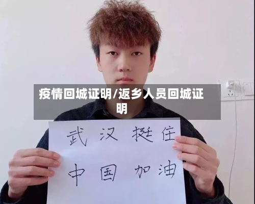 疫情回城证明/返乡人员回城证明-第2张图片