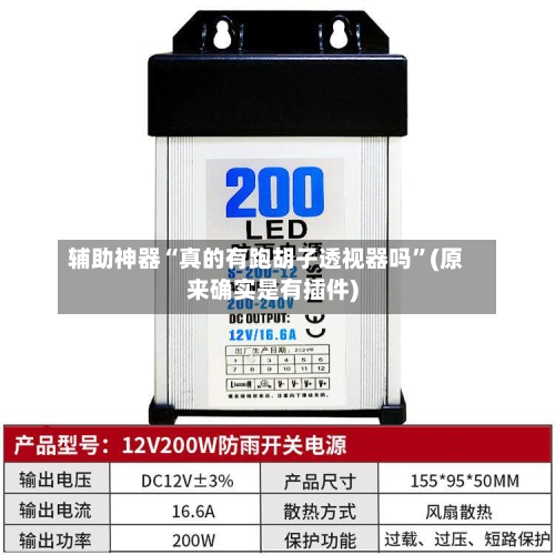 辅助神器“真的有跑胡子透视器吗”(原来确实是有插件)-第3张图片