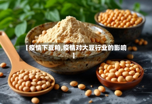 【疫情下豆粕,疫情对大豆行业的影响】-第1张图片