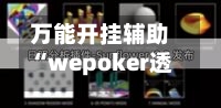 万能开挂辅助“wepoker透视真的吗	”详细分享装挂步骤教程-第1张图片