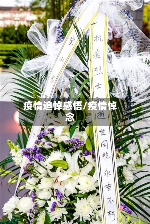 疫情追悼感悟/疫情悼念-第1张图片