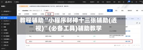 教程辅助“小程序财神十三张辅助(透视)	”(必备工具)辅助教学-第1张图片