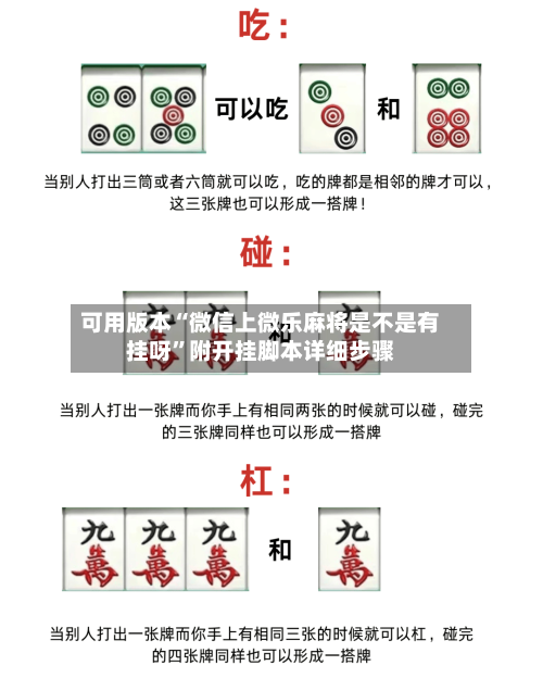 可用版本“微信上微乐麻将是不是有挂呀”附开挂脚本详细步骤-第2张图片
