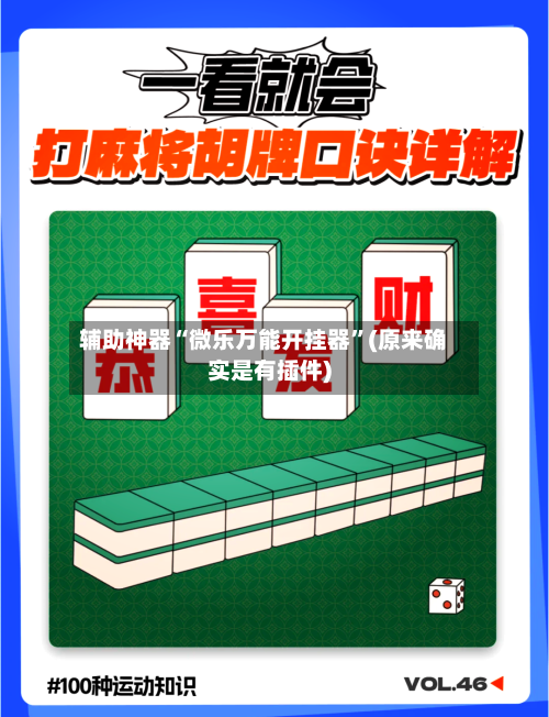 辅助神器“微乐万能开挂器”(原来确实是有插件)-第1张图片