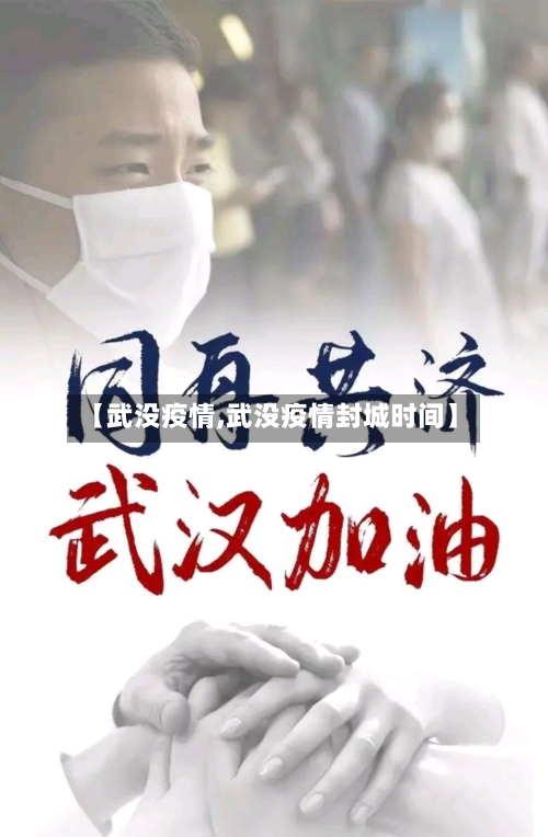 【武没疫情,武没疫情封城时间】-第2张图片