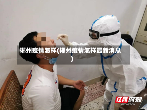 郴州疫情怎样(郴州疫情怎样最新消息)-第2张图片