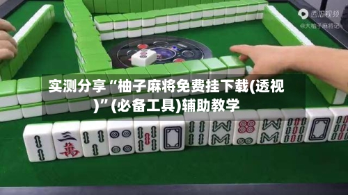 实测分享“柚子麻将免费挂下载(透视)”(必备工具)辅助教学-第3张图片