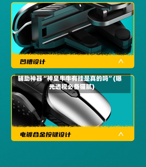 辅助神器“神皇牛牛有挂是真的吗”(曝光透视必备猫腻)-第2张图片
