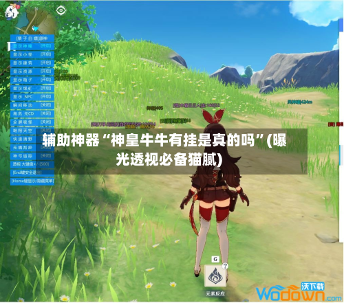 辅助神器“神皇牛牛有挂是真的吗”(曝光透视必备猫腻)-第3张图片