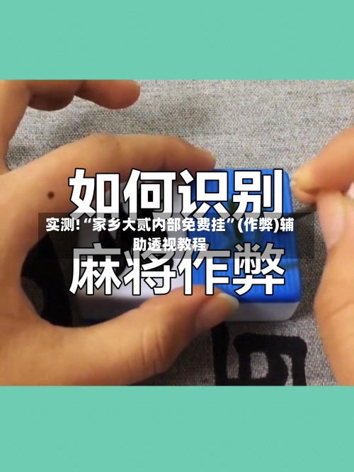 实测!“家乡大贰内部免费挂	”(作弊)辅助透视教程-第2张图片