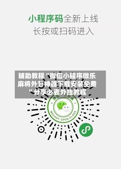 辅助教程“微信小程序微乐麻将外卦神器下载安装免费”分享必要外挂教程-第3张图片