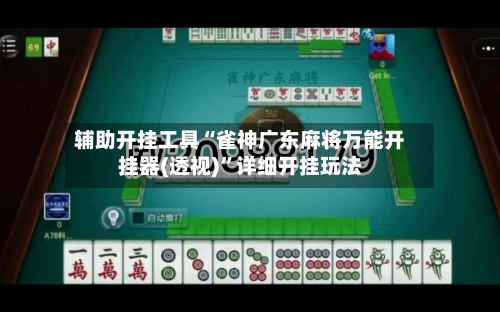 辅助开挂工具“雀神广东麻将万能开挂器(透视)”详细开挂玩法-第2张图片
