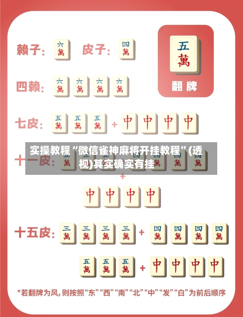 实操教程“微信雀神麻将开挂教程”(透视)其实确实有挂-第3张图片