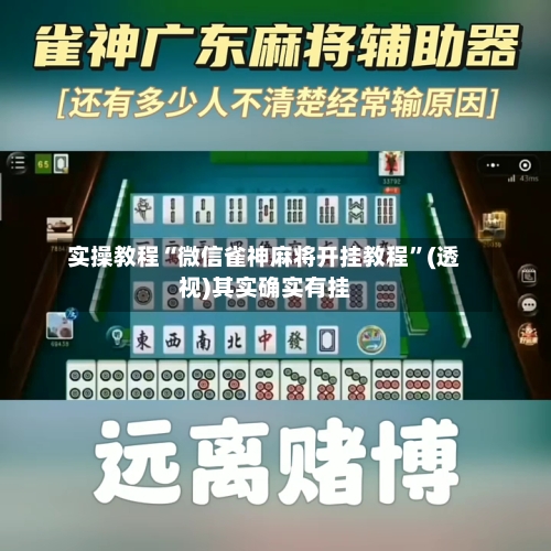 实操教程“微信雀神麻将开挂教程”(透视)其实确实有挂-第2张图片