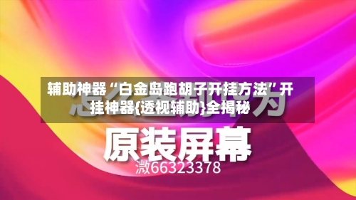辅助神器“白金岛跑胡子开挂方法”开挂神器{透视辅助}全揭秘-第2张图片