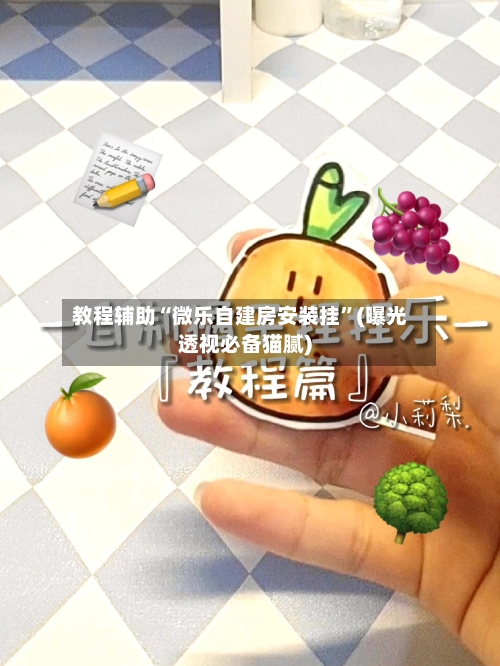 教程辅助“微乐自建房安装挂”(曝光透视必备猫腻)-第3张图片