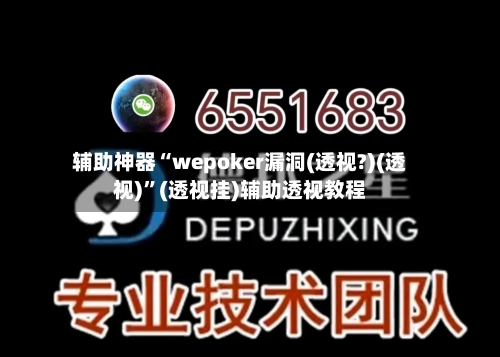辅助神器“wepoker漏洞(透视?)(透视)	”(透视挂)辅助透视教程-第3张图片