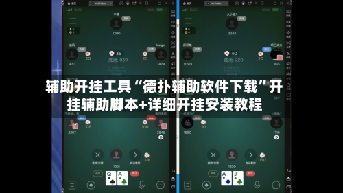 辅助开挂工具“德扑辅助软件下载”开挂辅助脚本+详细开挂安装教程-第1张图片