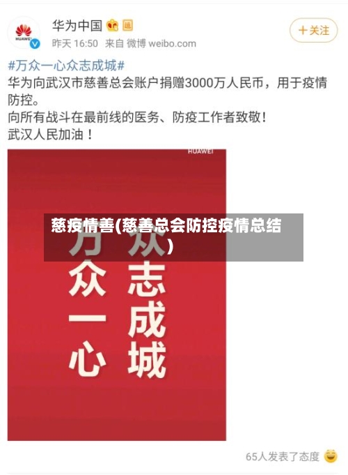 慈疫情善(慈善总会防控疫情总结)-第2张图片