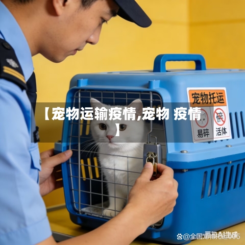 【宠物运输疫情,宠物 疫情】-第1张图片