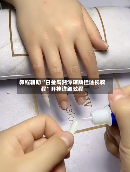 教程辅助“白金岛湘潭辅助挂透视教程”开挂详细教程-第2张图片