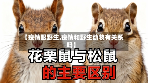 【疫情跟野生,疫情和野生动物有关系吗】-第1张图片