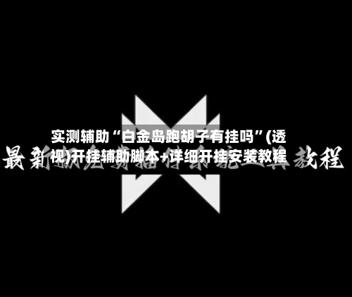 实测辅助“白金岛跑胡子有挂吗”(透视)开挂辅助脚本+详细开挂安装教程-第2张图片