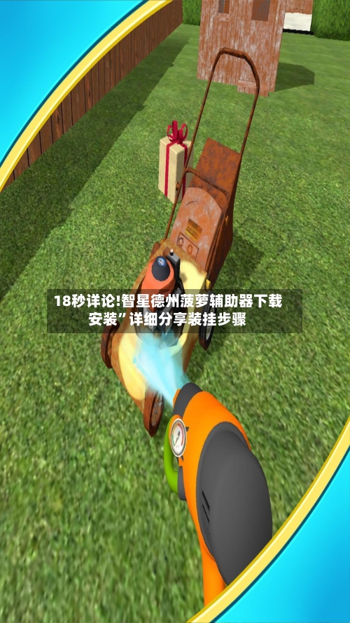 18秒详论!智星德州菠萝辅助器下载安装”详细分享装挂步骤-第2张图片