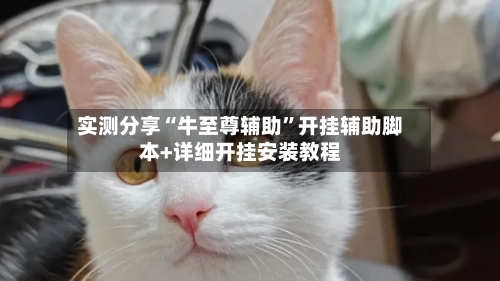 实测分享“牛至尊辅助	”开挂辅助脚本+详细开挂安装教程-第3张图片