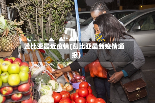 赞比亚最近疫情(赞比亚最新疫情通报)-第1张图片