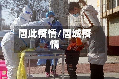 唐此疫情/唐城疫情-第2张图片