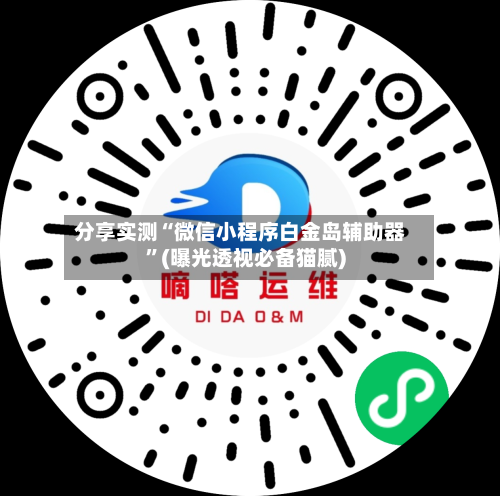 分享实测“微信小程序白金岛辅助器	”(曝光透视必备猫腻)-第2张图片