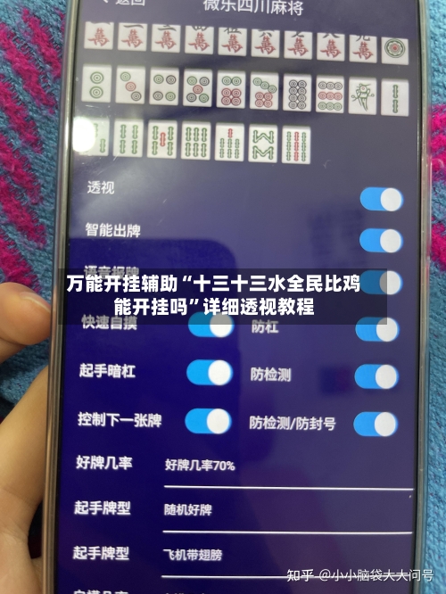 万能开挂辅助“十三十三水全民比鸡能开挂吗	”详细透视教程-第2张图片