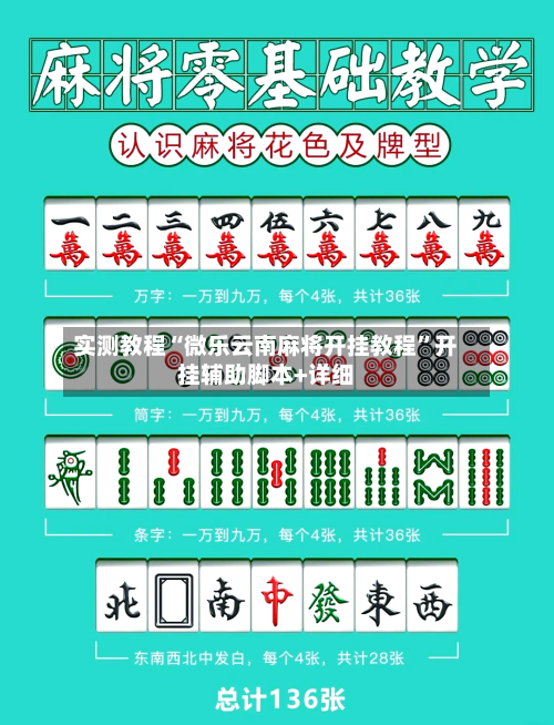 实测教程“微乐云南麻将开挂教程”开挂辅助脚本+详细-第1张图片
