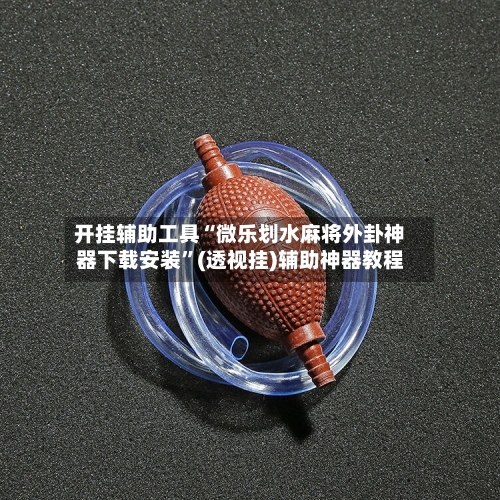 开挂辅助工具“微乐划水麻将外卦神器下载安装”(透视挂)辅助神器教程-第3张图片