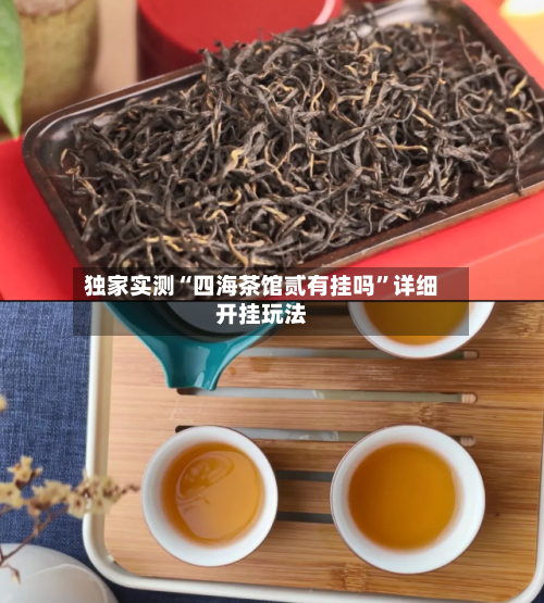 独家实测“四海茶馆贰有挂吗”详细开挂玩法-第2张图片