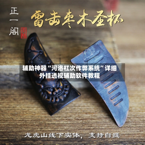 辅助神器“河洛杠次作弊系统	”详细外挂透视辅助软件教程-第2张图片