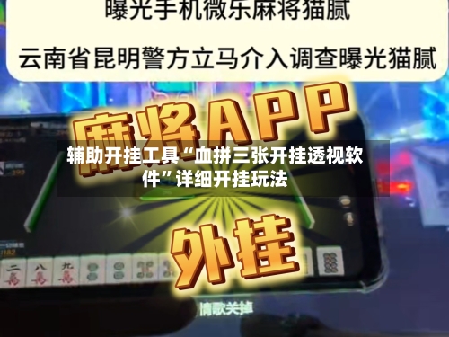 辅助开挂工具“血拼三张开挂透视软件”详细开挂玩法-第2张图片