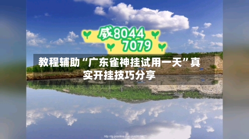 教程辅助“广东雀神挂试用一天”真实开挂技巧分享-第3张图片