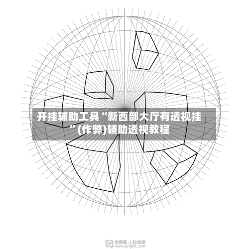 开挂辅助工具“新西部大厅有透视挂”(作弊)辅助透视教程-第1张图片