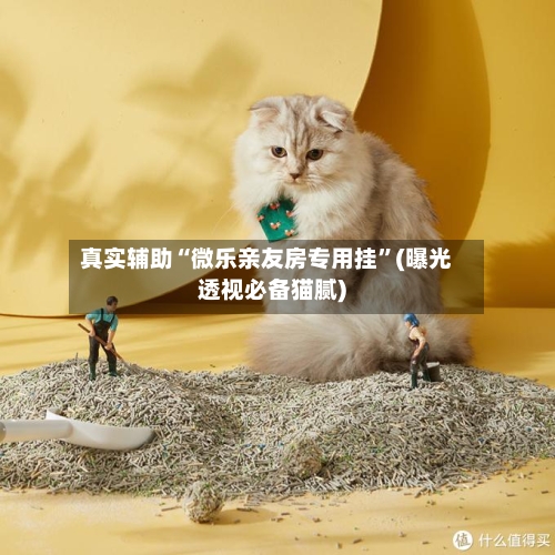 真实辅助“微乐亲友房专用挂	”(曝光透视必备猫腻)-第2张图片