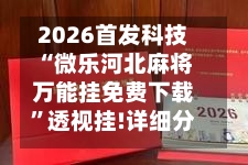 2026首发科技“微乐河北麻将万能挂免费下载	”透视挂!详细分享装挂步骤-第2张图片